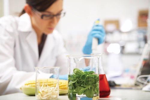 Researchers turn food waste into fertilisers
