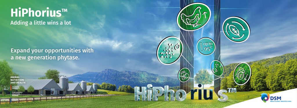 DSM together with Novozymes launches HiPhorius™ for sustainable protein production