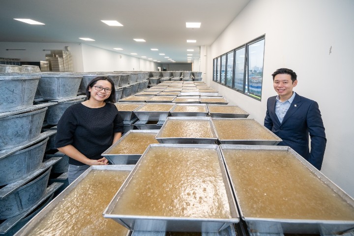 SIT & Cheng Yew Heng’s  partners for optimizing the crystallization process of Rock Sugar