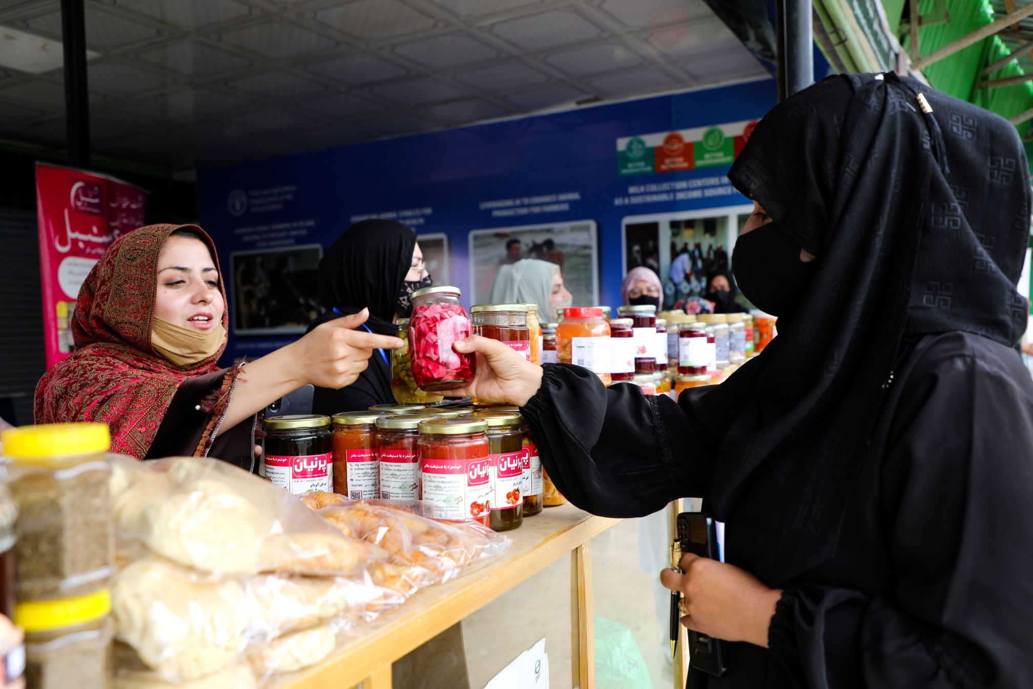 European Union and FAO Join Forces to Boost Climate Resilience of Agrifood Systems in Afghanistan