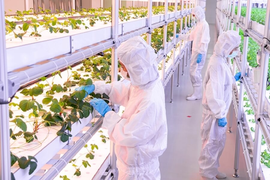 Thailand’s EEC to be post-COVID Global Food Innovation Hub
