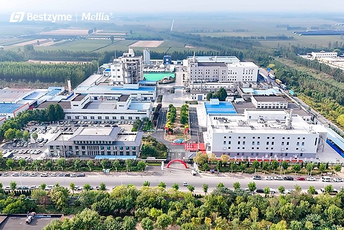 Bestzyme Launches Dedicated, Automated Smart Production Line for Sweet Proteins in Jinan