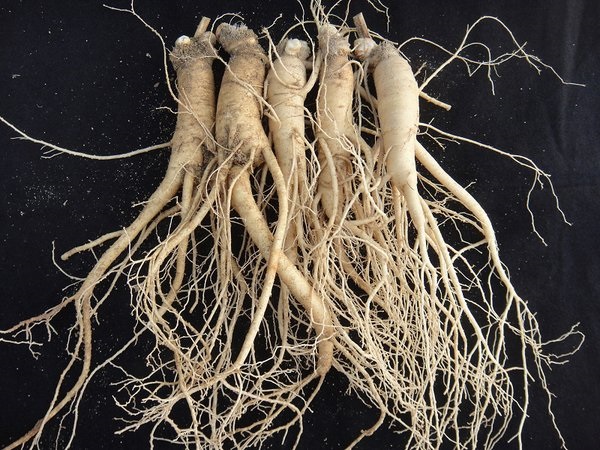 Korea publicly lists functional ingredient for bone health