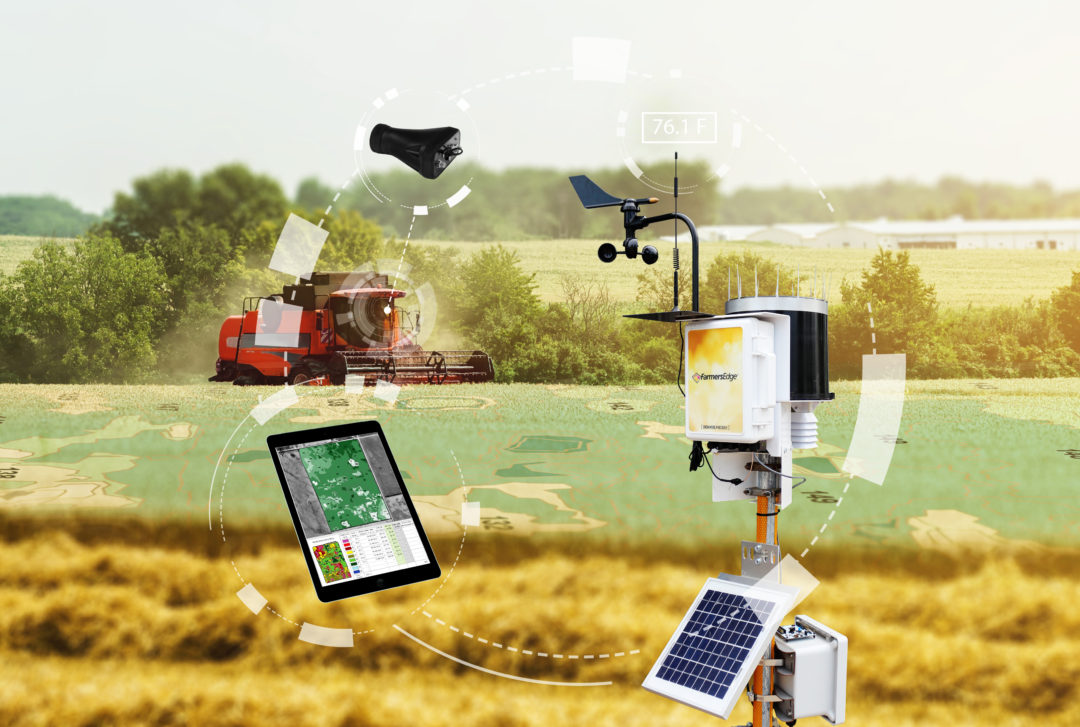 AI research in farming gets lift with funding
