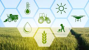 Farmcrowdy Group partners with Best Foods Fresh Farms