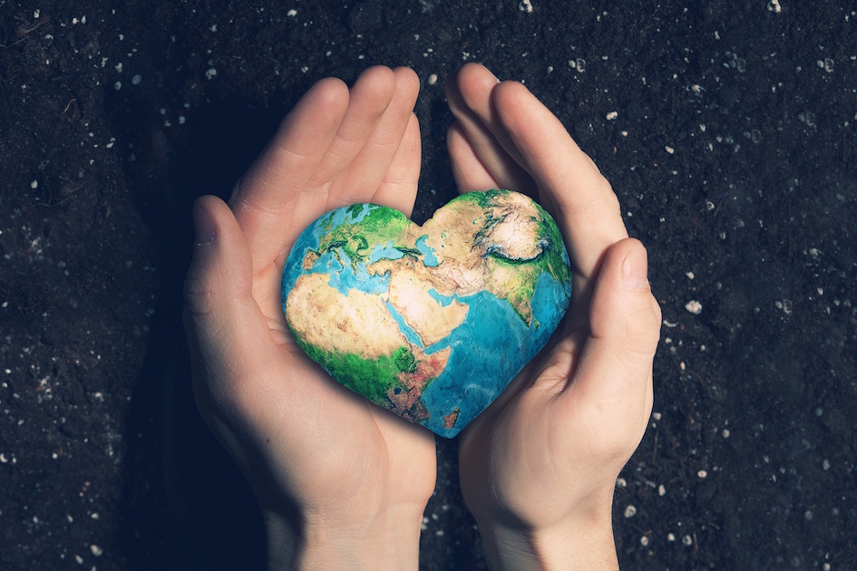 Aleph Farms Going Carbon-Neutral by 2025