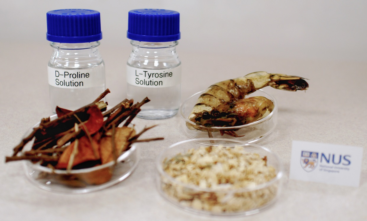 Singapore turns branches and prawn shells into nutritional supplements and medicine