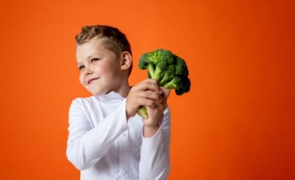 Australia designs digital toolkit to help prevent childhood obesity