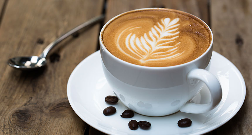 COFE app raises $3.2 M in Pre Series A Funding 