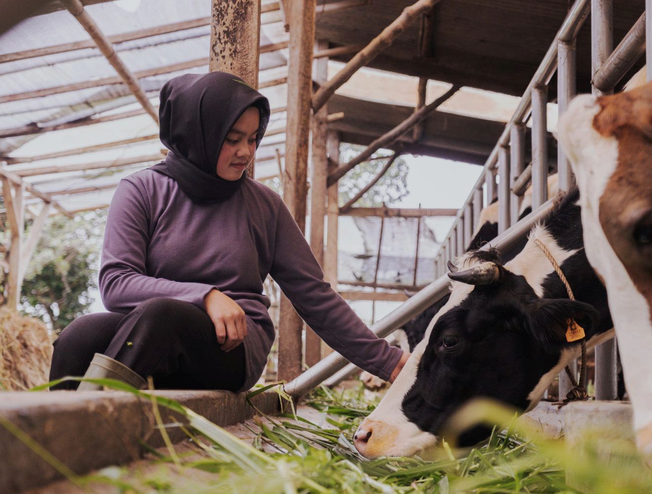 FrieslandCampina Partners with Ultrajaya as Frisian Flag Indonesia Joins Indonesian Dairy Platform