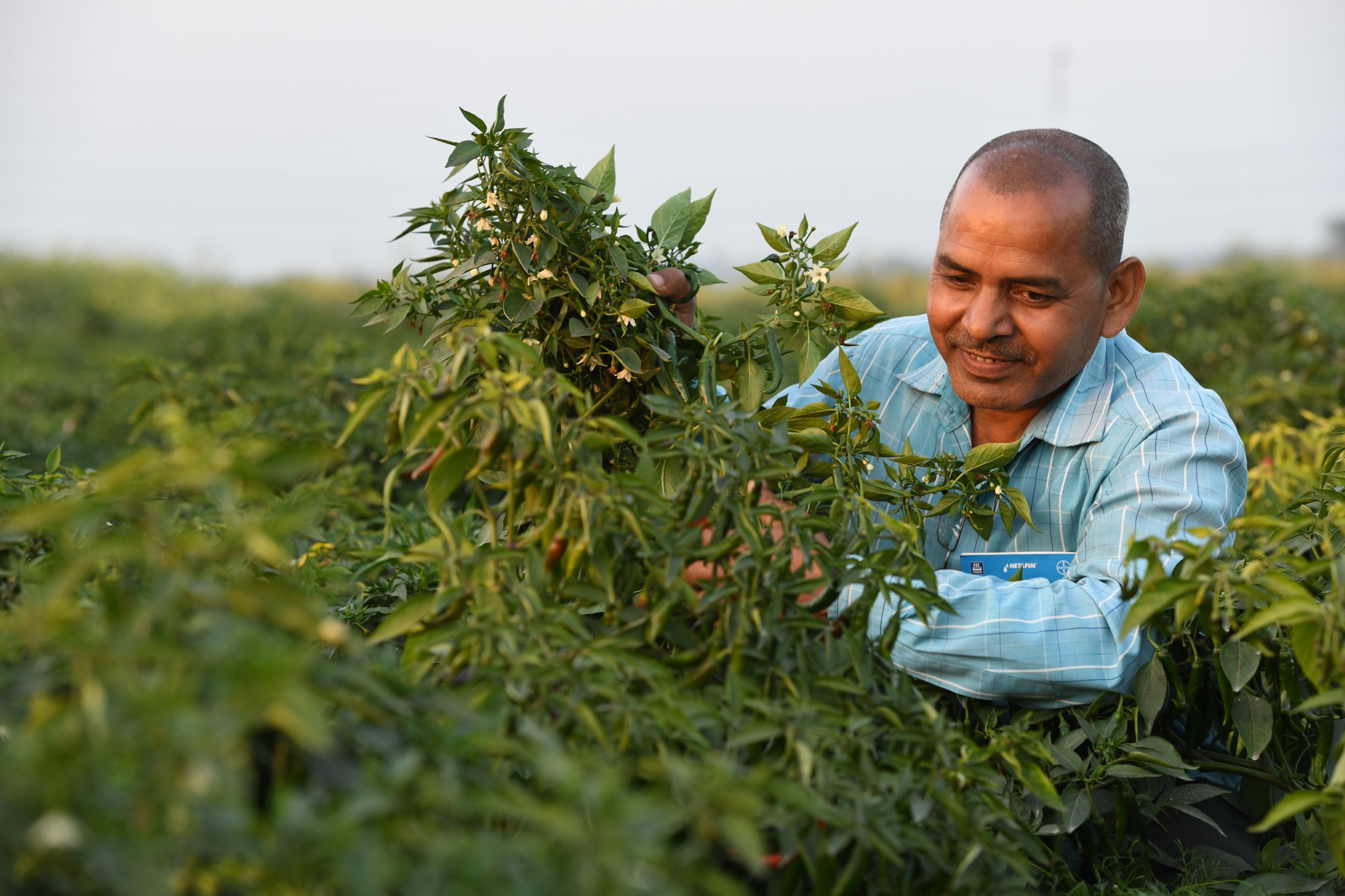 Better Life Farming Alliance launches new agri-entrepreneurship model