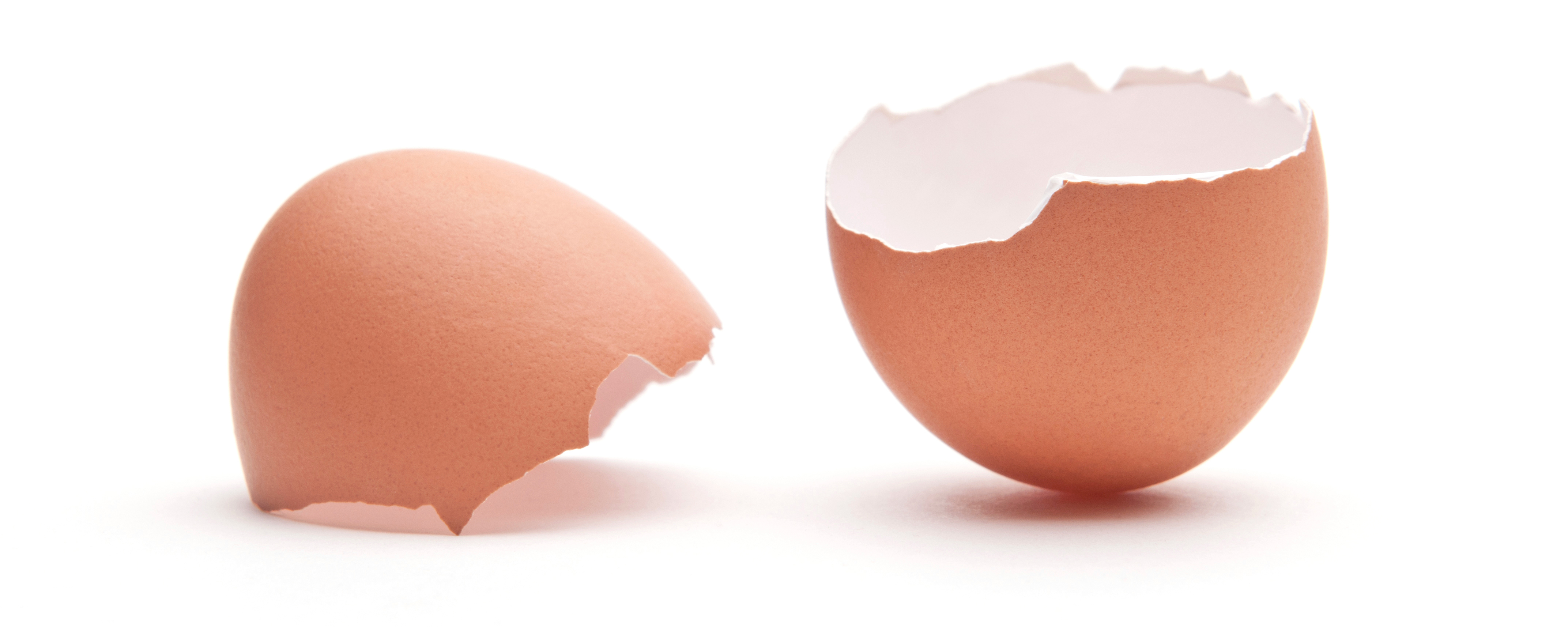 Egg shell powder has health benefits