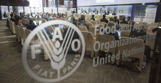 FAO focuses on food security this World Food Day 