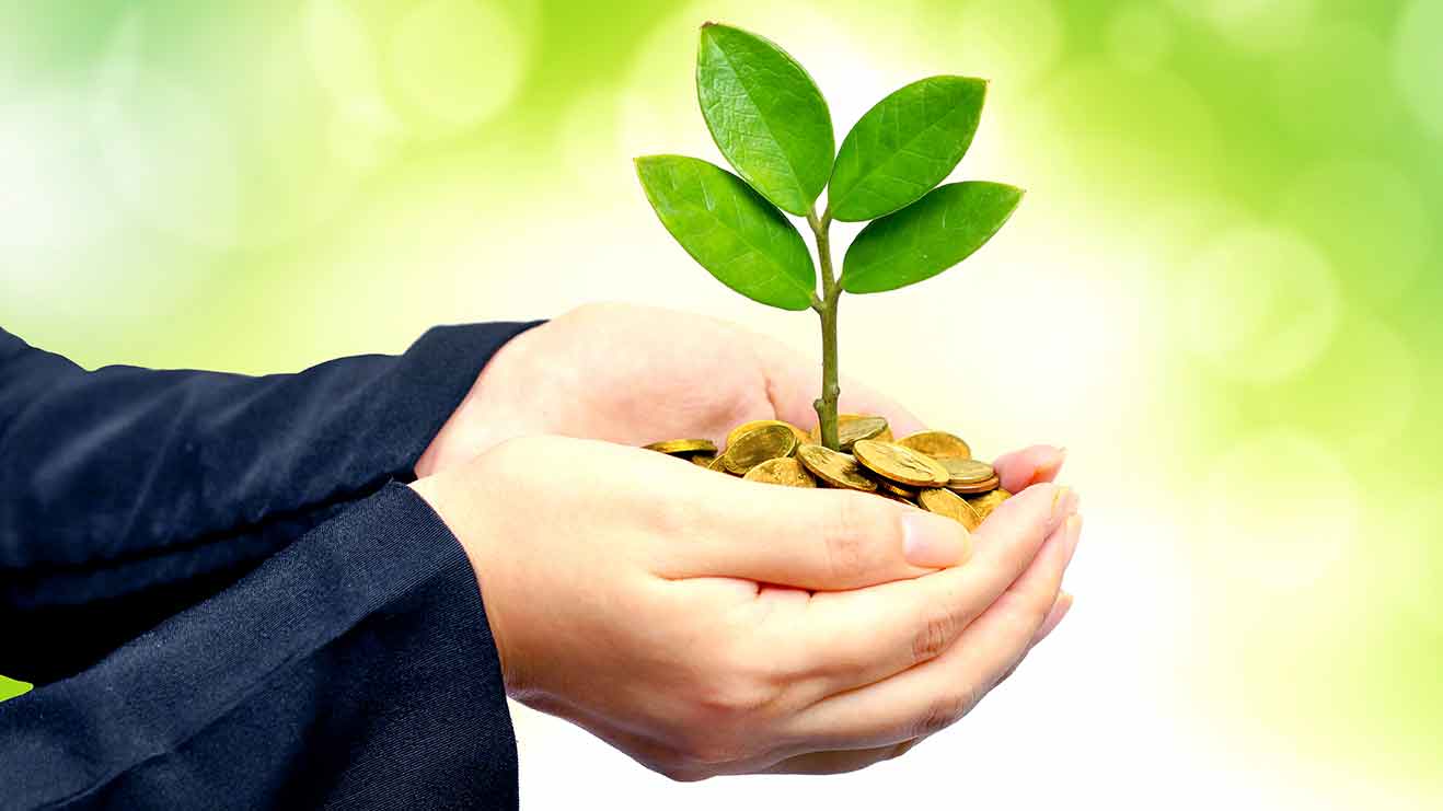 Cola-cola Amatil generates $77M from property optimization