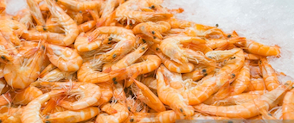 Thai Union Group partners with Corbion for algae-based ingredients for feed