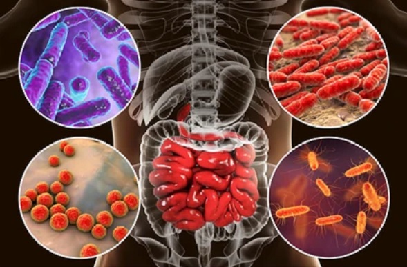 Microba Life Sciences, Unilever look at associations between gut microbiome and sleep