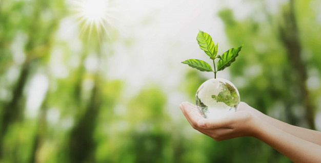 Azelis ‘Action 2025’ proposes sustainable growth strategies for chemicals and food industries