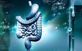 Iron Supplements may Influence the growth of Colon Cancer