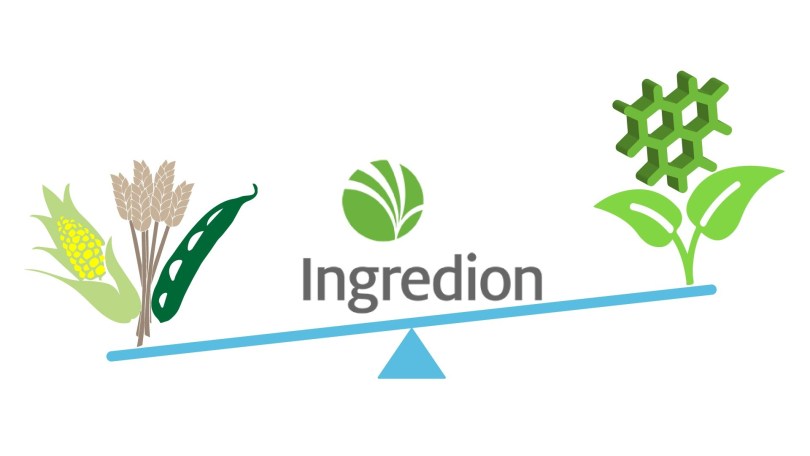 Ingredion acquires Verdient Foods to accelerate growth in plant-based proteins