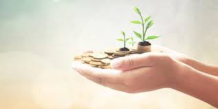 Kona Gold Solutions projects $1.5 Mn from its subsidiary in 2020