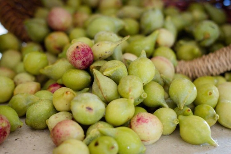 A significant growth ahead for Australia’s Kakadu plum industry 