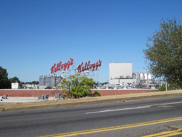 Kellogg invests in plant-based, blender-free frozen smoothie cubes brand Bright Greens