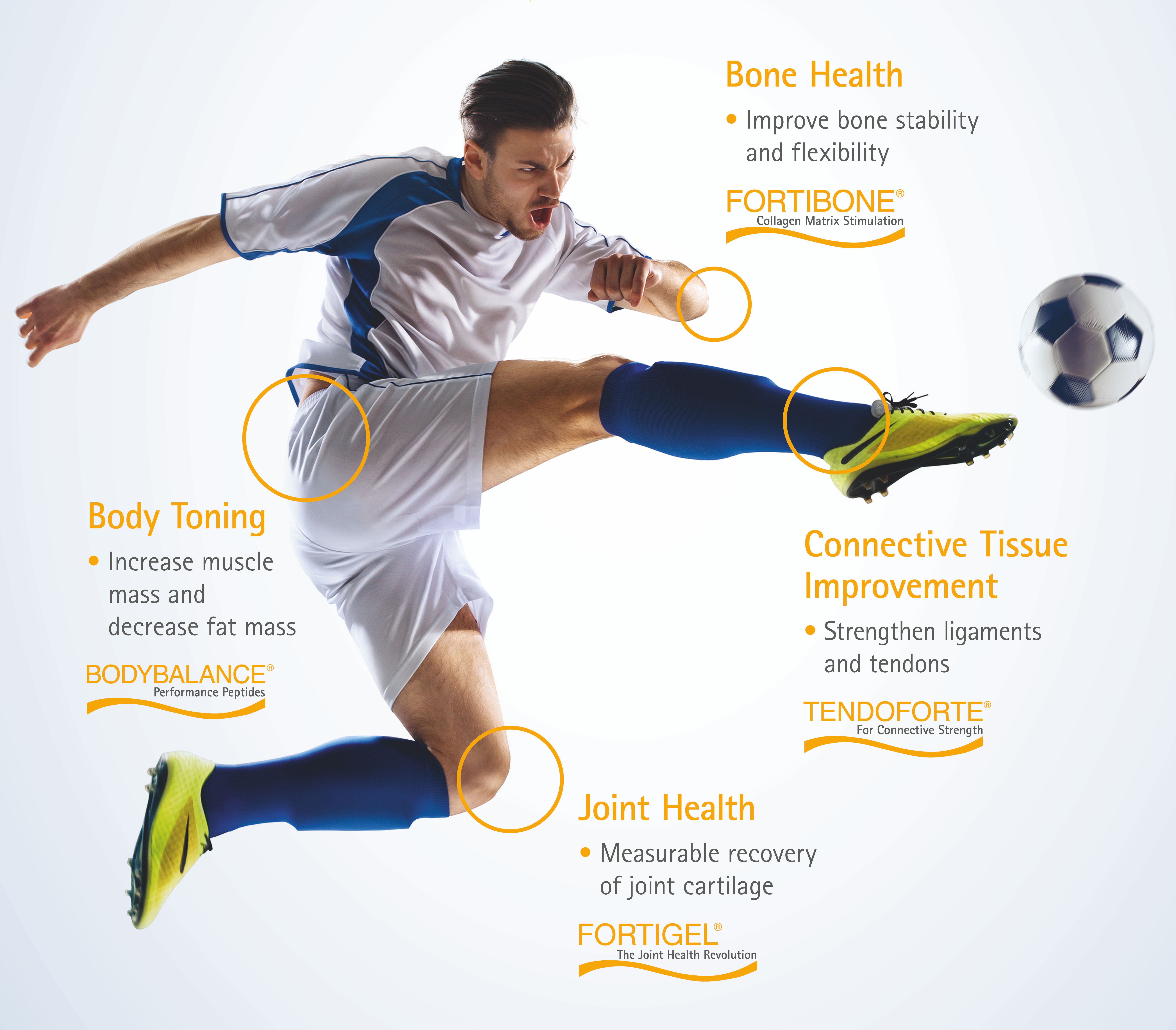 GELITA to showcase its latest collagen innovations at the upcoming NutraIngredients Sports Nutrition