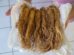 The Korea Ginseng Association’s regional festivals sees an increase in the participation of foreign tourists