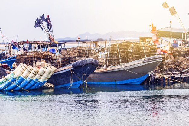 Korean MFDS and NFSA sign arrangement for fishery product safety