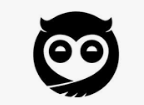 #startupoftheday 121- Sleepy Owl