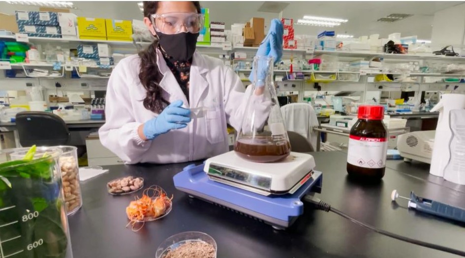 Singapore-Based MedTech startup converts cashew waste into an organic anti-microbe solution