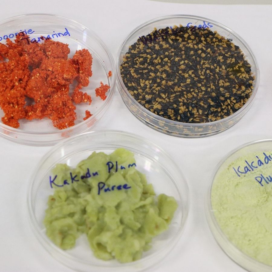 Researchers at Australia developed portable toolkit to measure sweetness of fruit