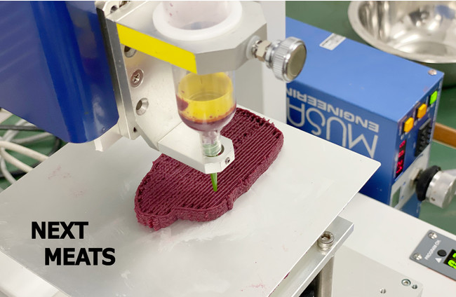 Japanese firm to mass-produce alternative meat using 3D printer