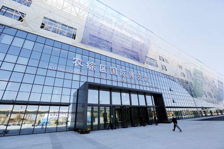 Weifang holds online global food & product expo in China