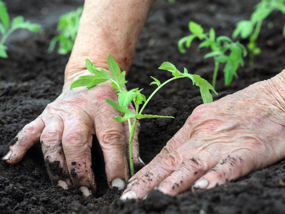 European Council endorses new regulations for organic farming