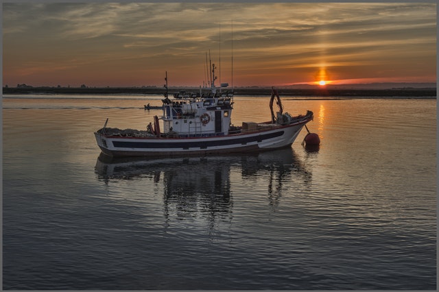 Thai Union piloting innovative technologies for sustainable seafood production