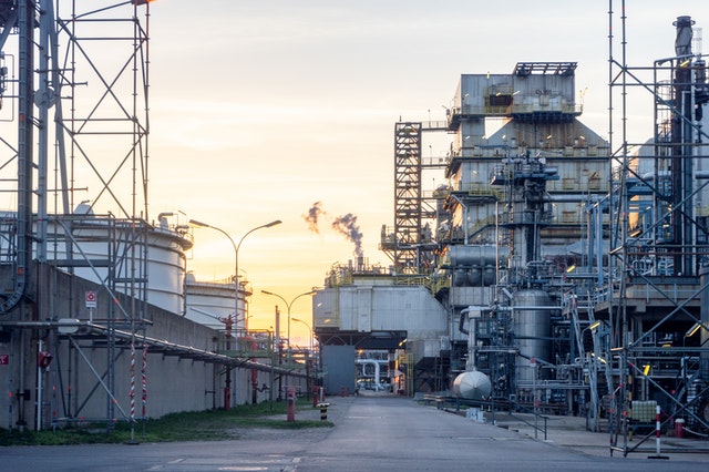 Calyxt to partner Asian food ingredient manufacturer to Develop Palm Oil Alternative