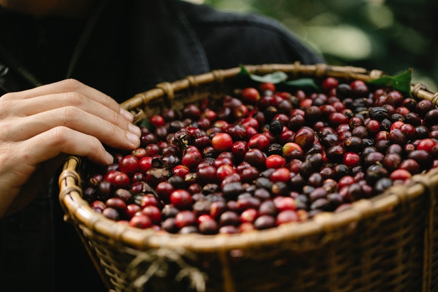Kerry in partnership with Café Femenino helping to improve the lives of women coffee farmers worldwide