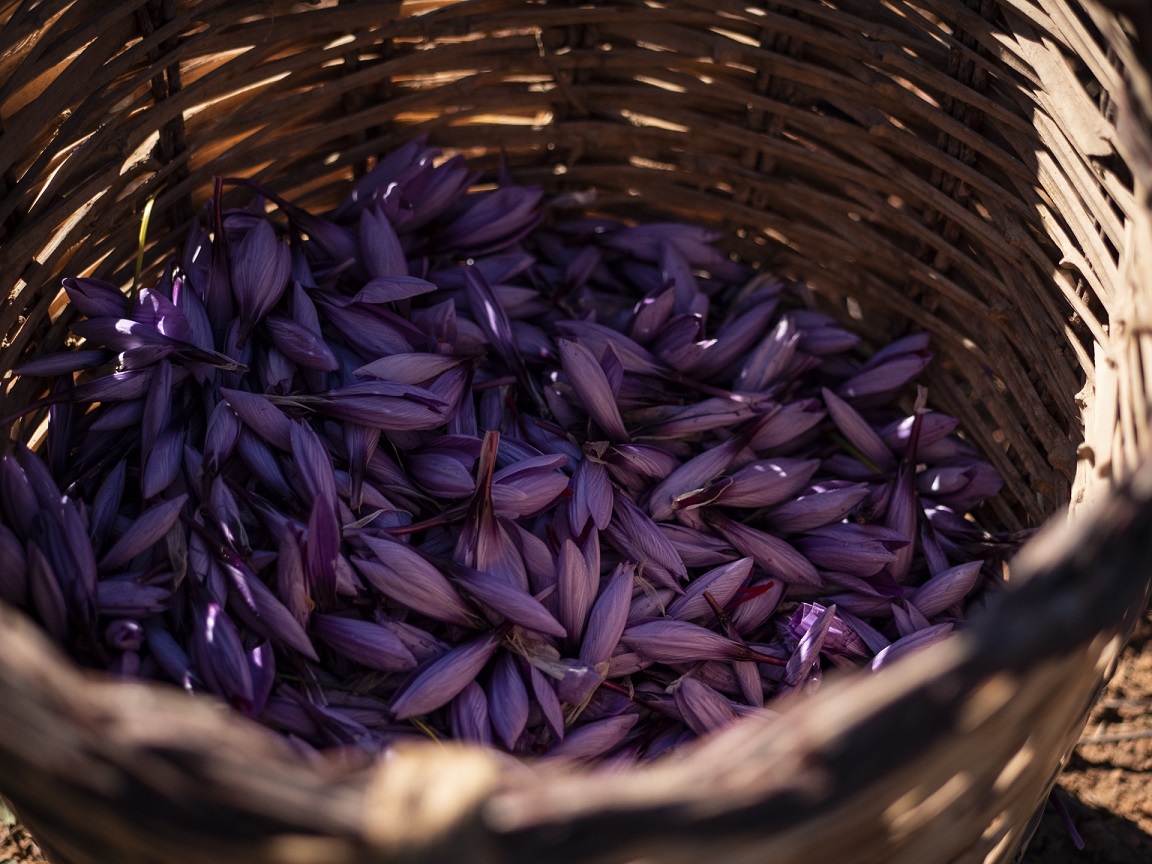 Pharmactive’s Saffron earns organic seal
