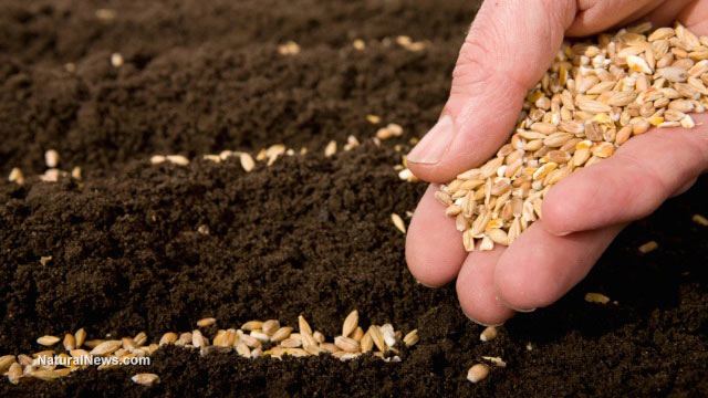 Equinom’s non-GMO technology produces quality protein, creates new ecosystem