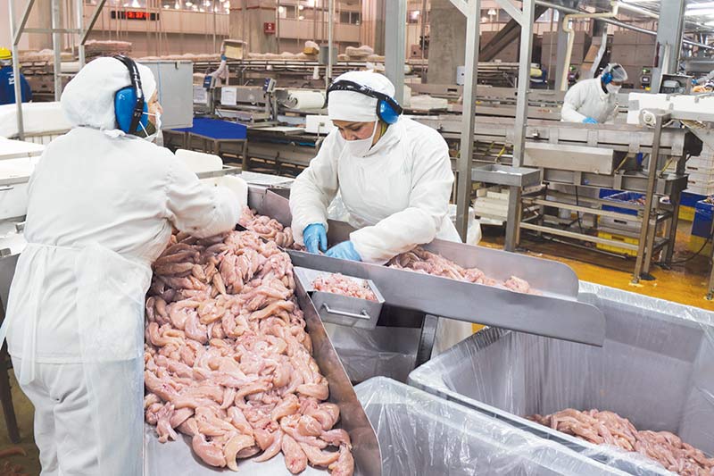 Hong Kong suspends import of poultry products from areas in US 