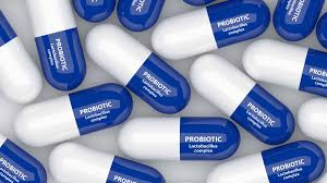 Anlit delivers Probiotics by the Bite 
