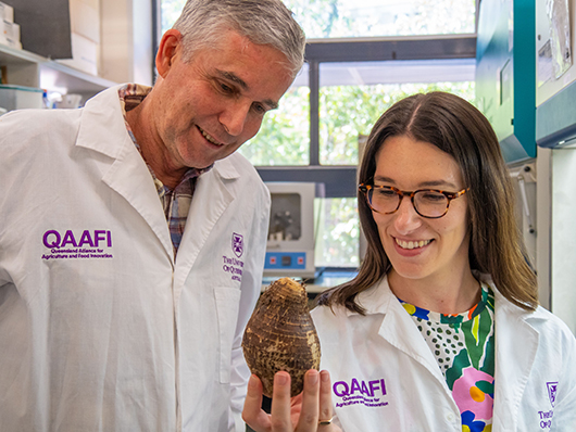 Australian researcher to protect taro’s unique nutritional value