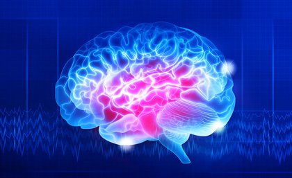 Australia links saturated fatty acids with memory formation