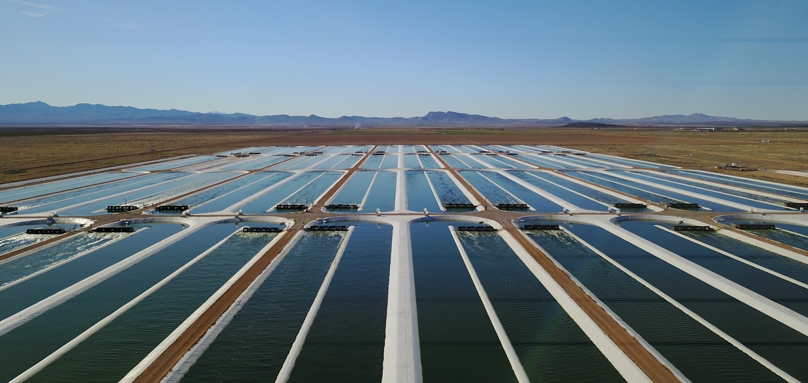 Qualitas Health Partners with Grupo Indukern and Gullspång Re:food