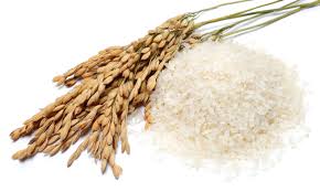 AIC becomes distribution partner for Panjin Hetian’s Organic offerings
