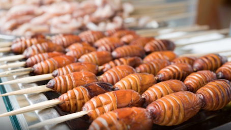 World’s first edible insect protein company to launch IPO