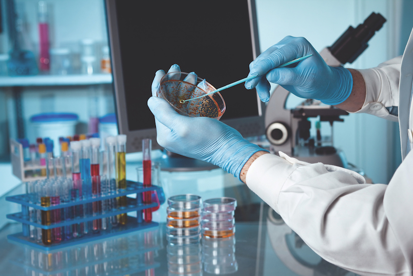 Korea reinforces international cooperation to mitigate food-borne AMR