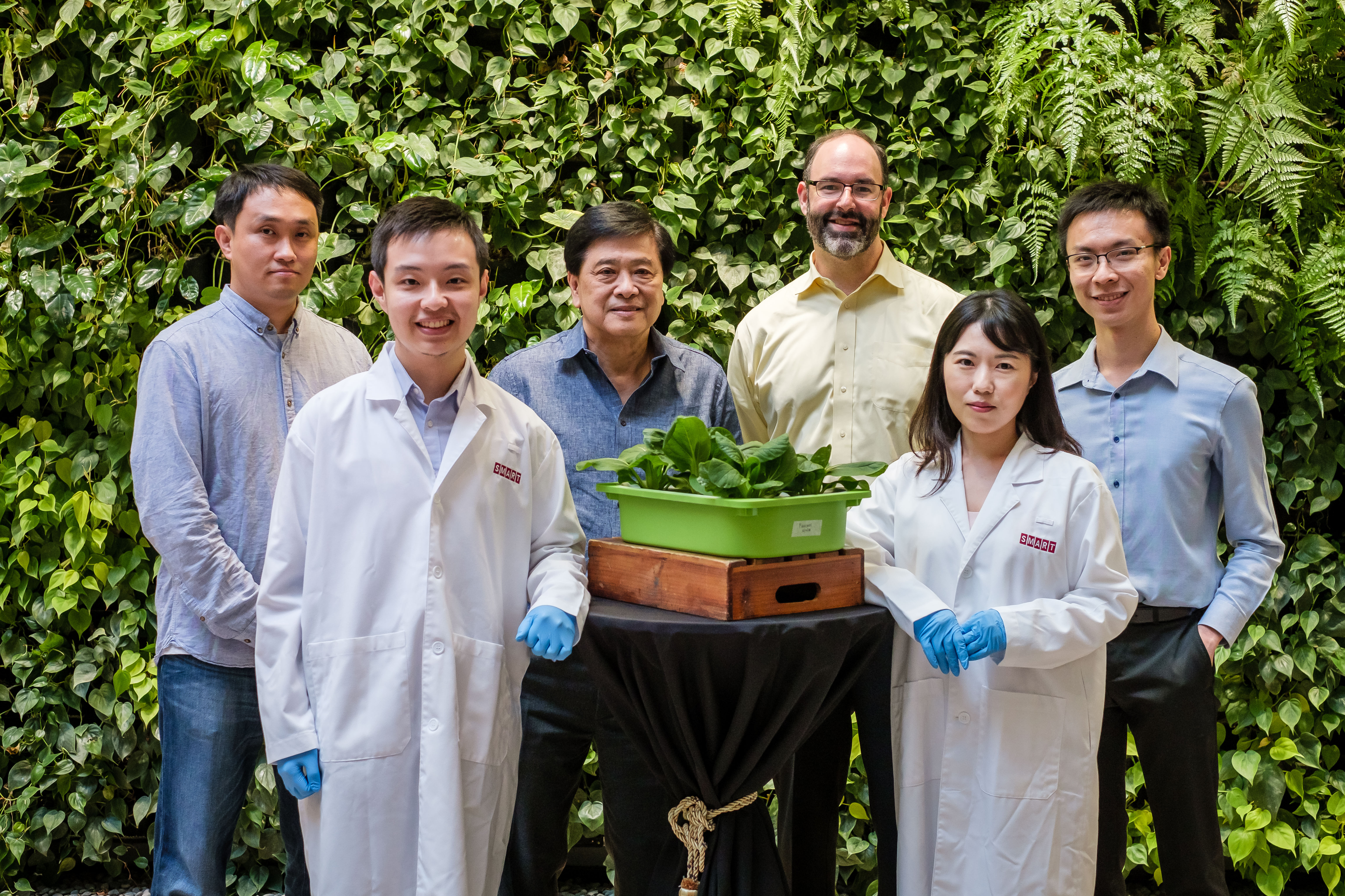 Singapore to become urban agri-tech hub by precision agriculture and urban farming