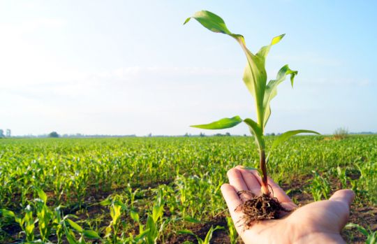 Bosch to build a smart agriculture testing ground in Melbourne